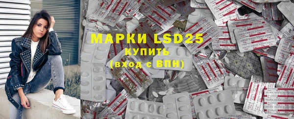 крисы Богородицк