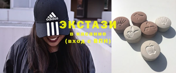 молекула духа Бородино