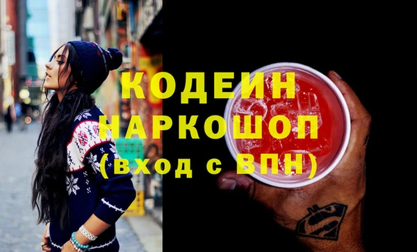 молекула духа Бородино