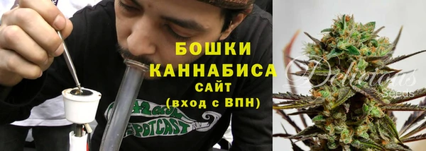 гашик Белоозёрский